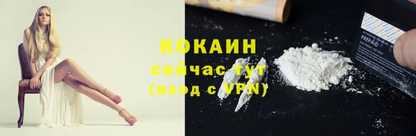 гашик Богородицк