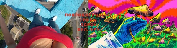 COCAINE Бородино